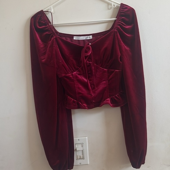 Altard state velvet  cropped top. valentines day top size M - Picture 3 of 4